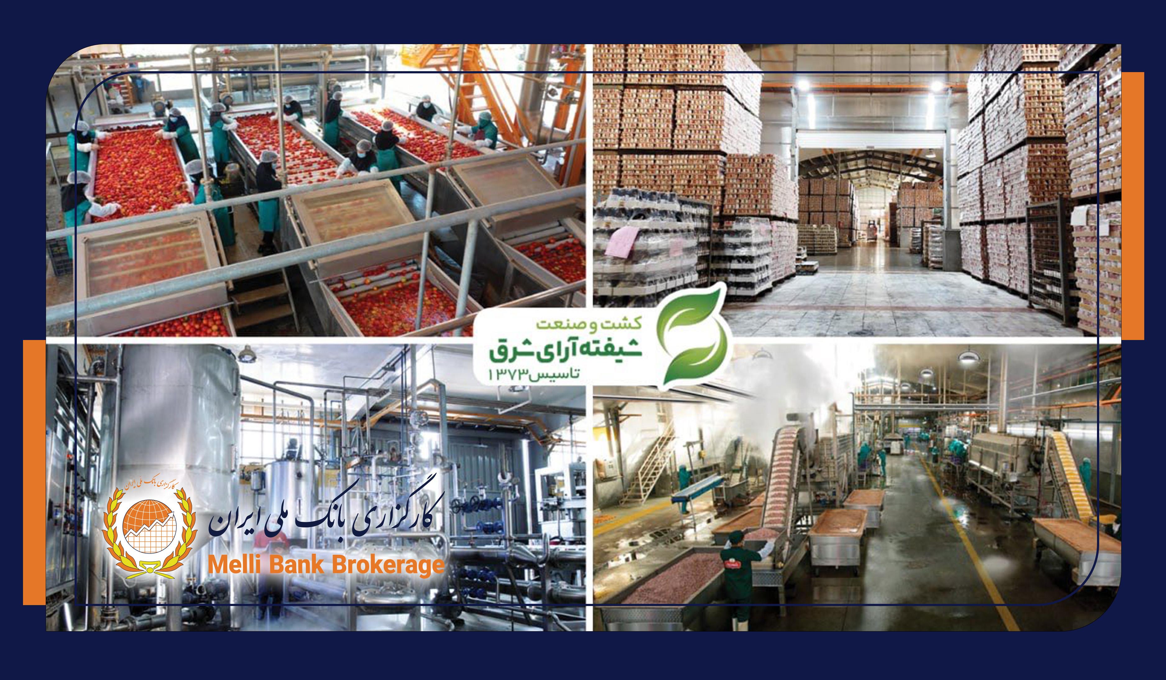 معارفه شرکت کشت وصنعت شیفته آرای‌شرق  با نماد "شیفته"