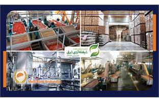 اخبار شیفته 3