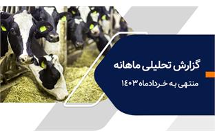 گزارش تحلیلی ماهانه کارگزاری بانک ملی خرداد ماه ۱۴۰۳