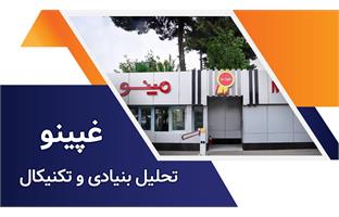 تحلیل بنیادی و تکنیکال نماد پارس مینو