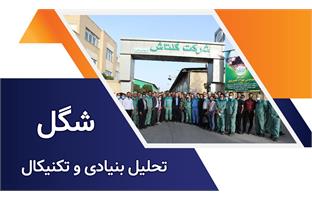 تحلیل بنیادی و تکنیکال نماد شگل