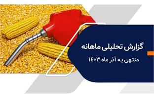 گزارش تحلیلی ماهانه کارگزاری بانک ملی آذر ماه ۱۴۰۳